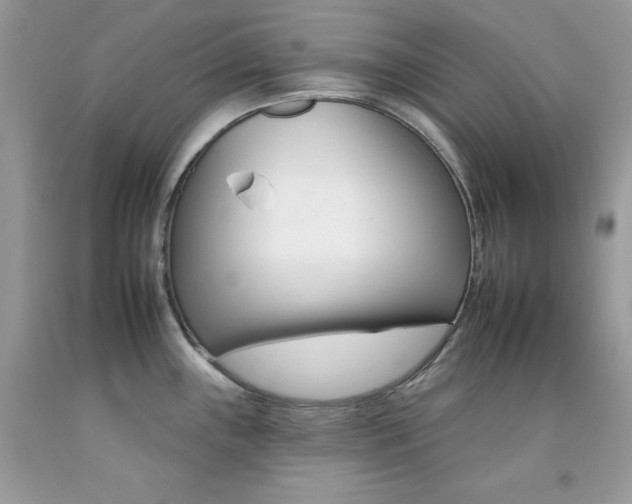 X0000092261243200709141019