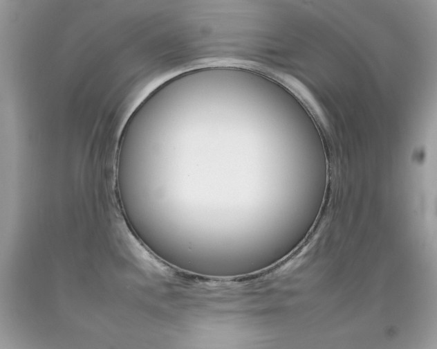 X0000092261244200709141019