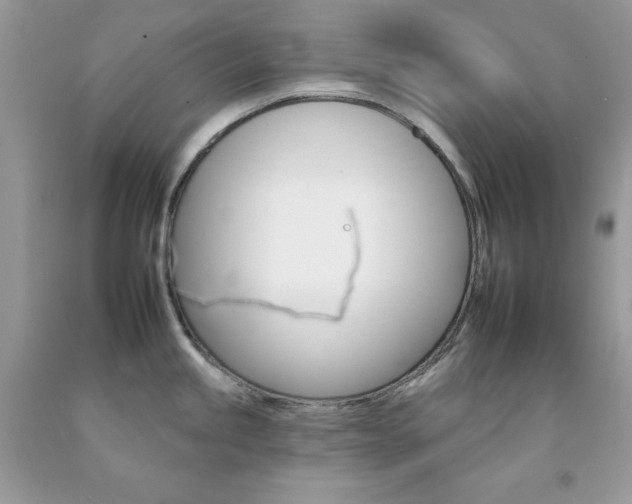 X0000092261245200709141019