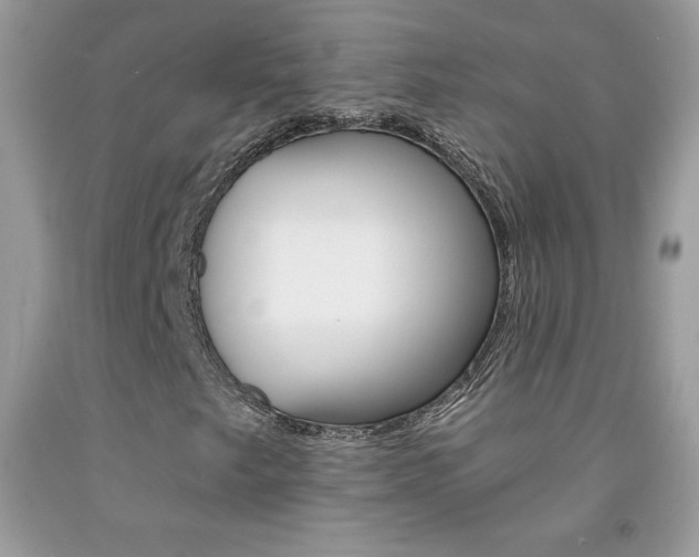 X0000092261249200709141019