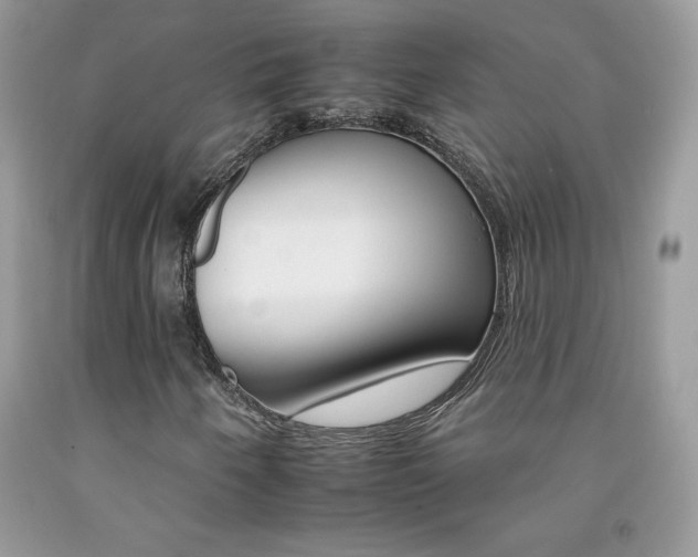 X0000092261250200709141019