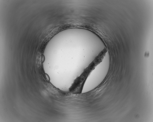 X0000092261251200709141019