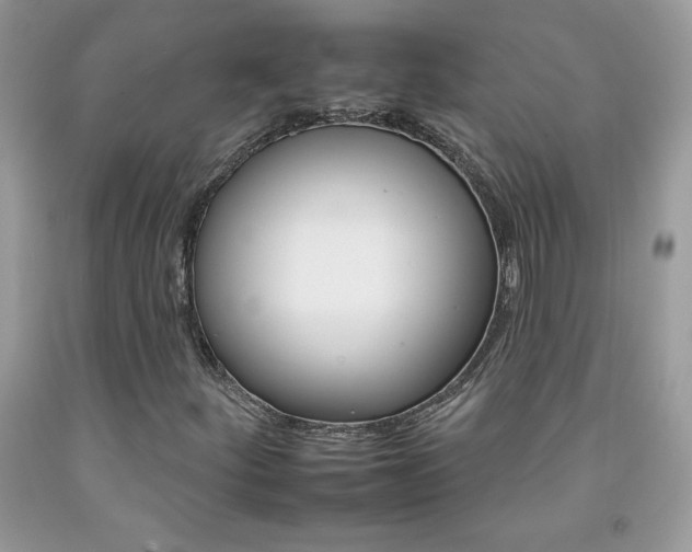 X0000092261252200709141019