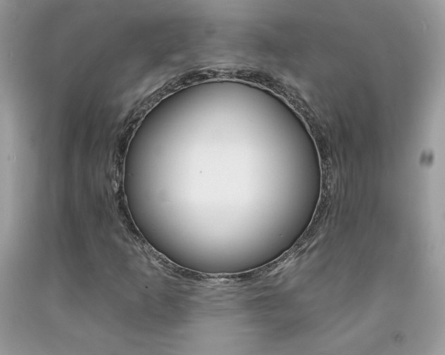 X0000092261253200709141019