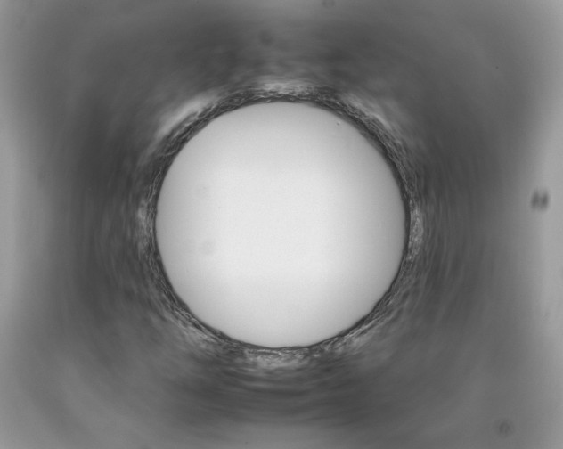 X0000092261254200709141019