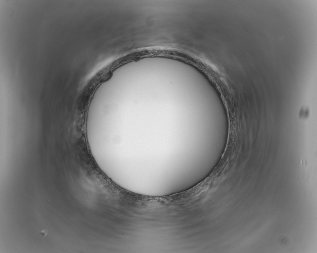 X0000092261255200709141019