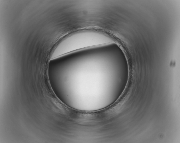 X0000092261257200709141019