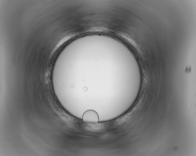 X0000092261258200709141019