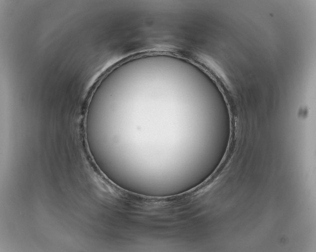X0000092261260200709141019
