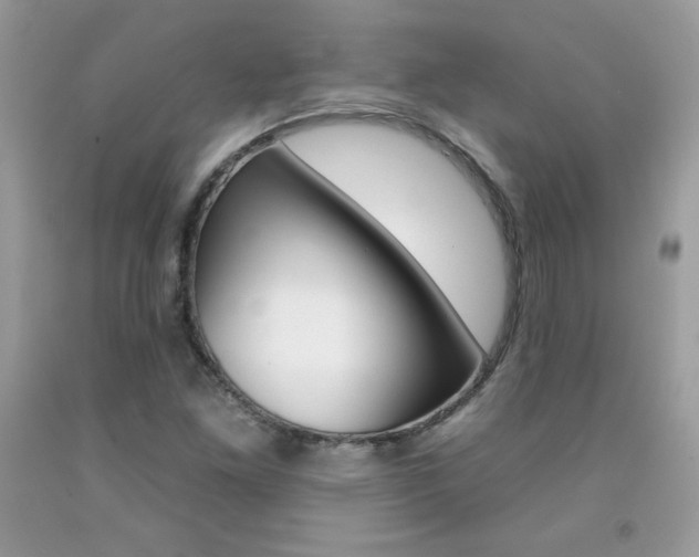 X0000092261261200709141019