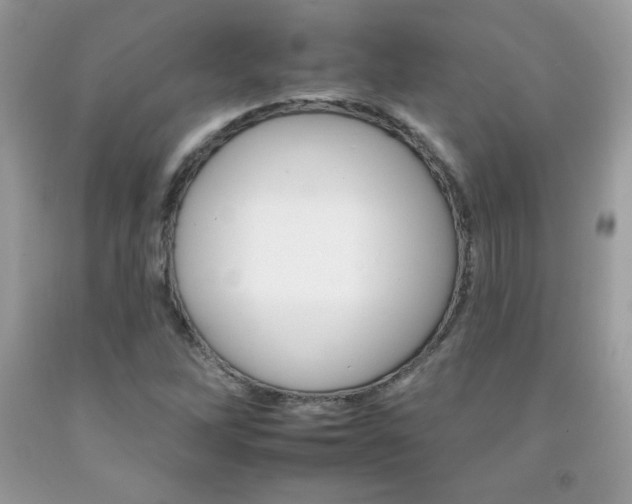 X0000092261262200709141019