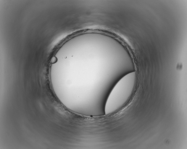 X0000092261263200709141019