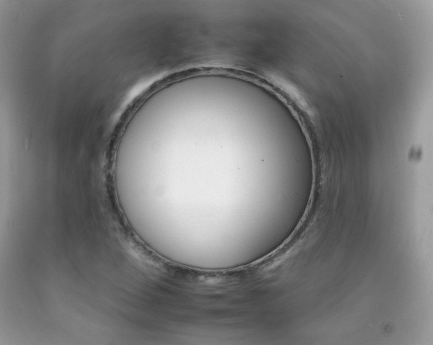 X0000092261264200709141019