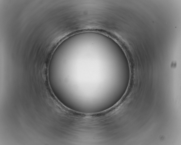 X0000092261265200709141019