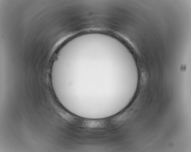 X0000092261266200709141019