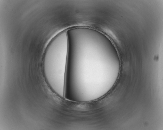 X0000092261268200709141019