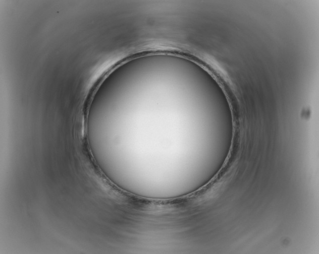 X0000092261269200709141019