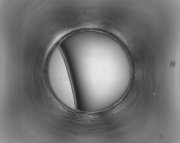 X0000092261270200709141019