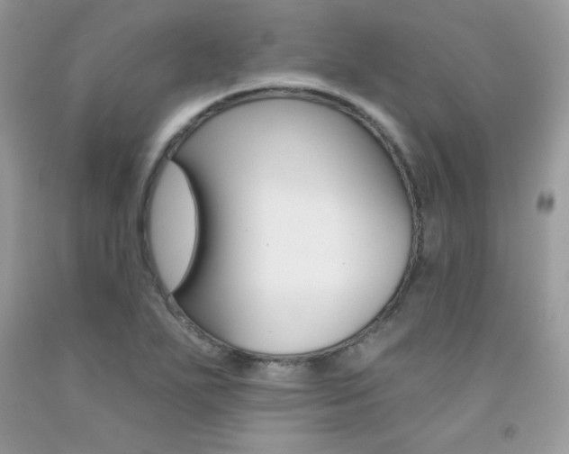X0000092261271200709141019