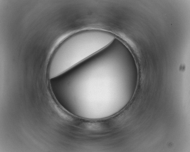 X0000092261272200709141019