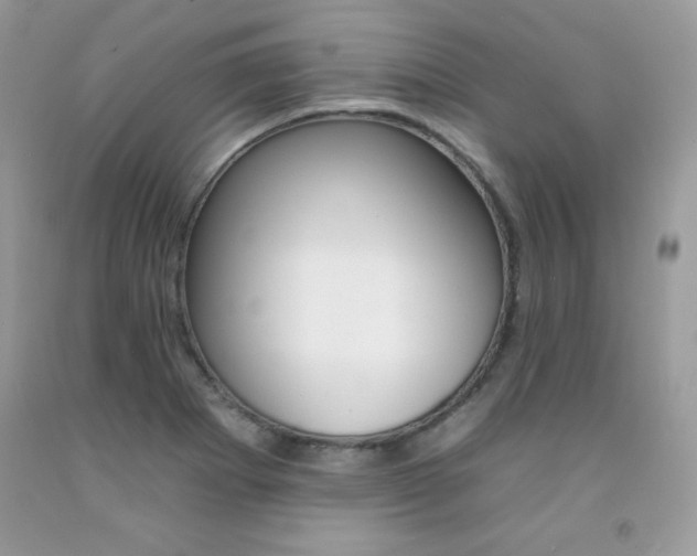 X0000092261273200709141019