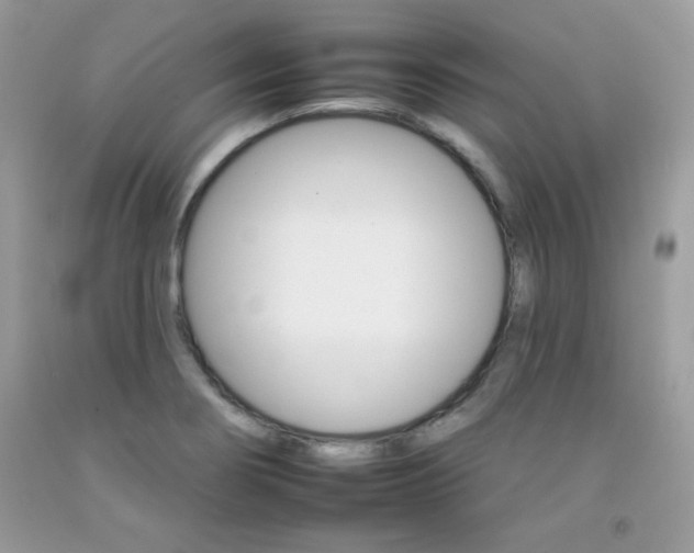 X0000092261274200709141019