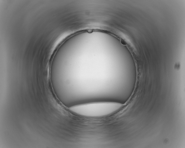 X0000092261275200709141019