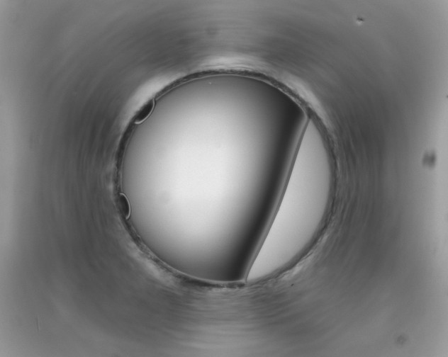 X0000092261277200709141019