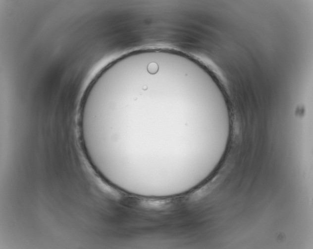 X0000092261278200709141019
