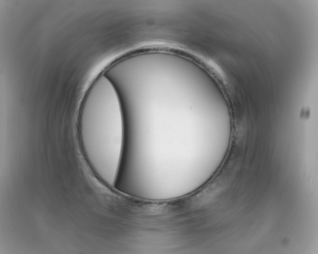 X0000092261279200709141019