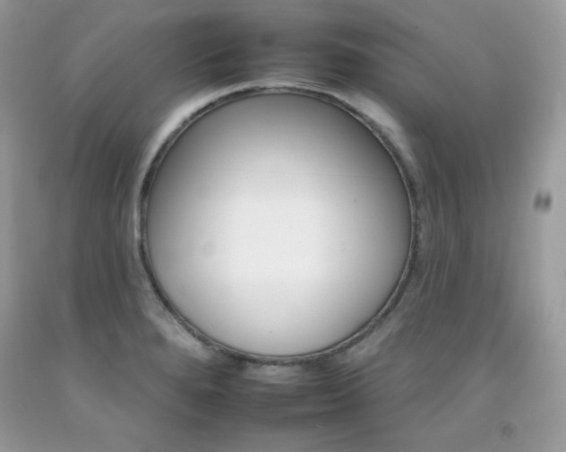 X0000092261280200709141019