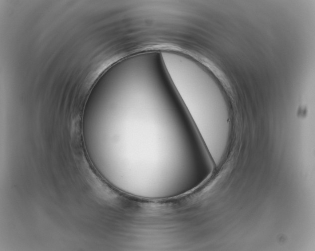 X0000092261281200709141019