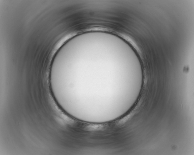 X0000092261282200709141019