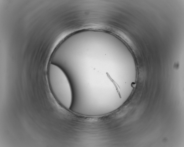 X0000092261283200709141019