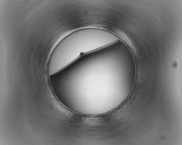 X0000092261284200709141019