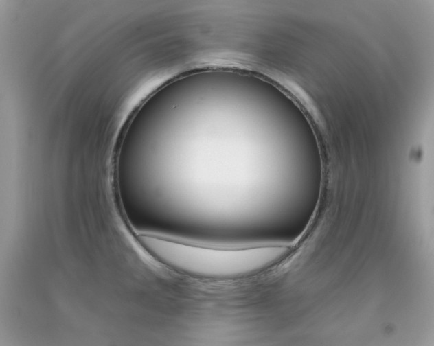 X0000092261285200709141018