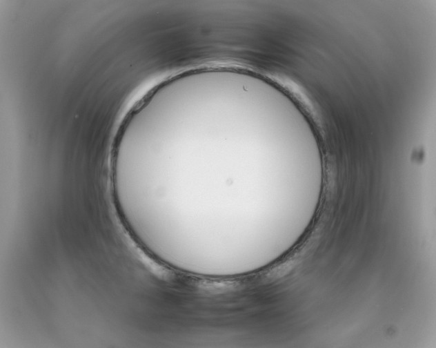X0000092261286200709141018