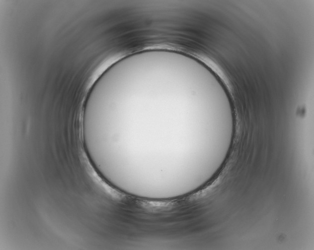 X0000092261290200709141018