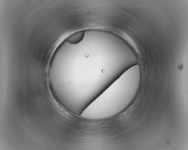X0000092261291200709141018