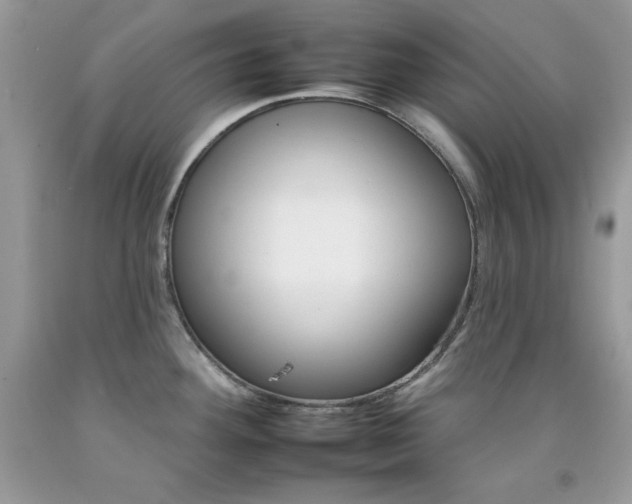 X0000092261292200709141018