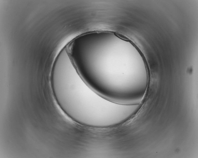 X0000092261293200709141018