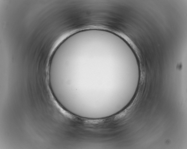 X0000092261294200709141018