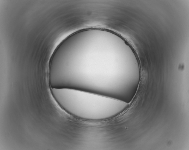 X0000092261295200709141018