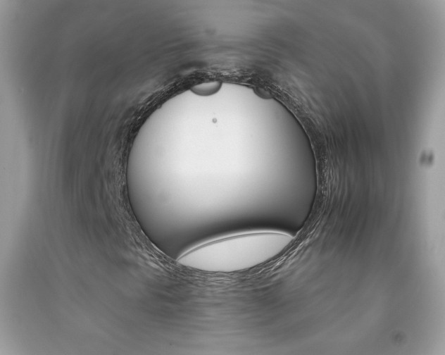 X0000092261297200709141018