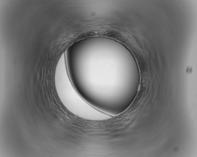 X0000092261298200709141018