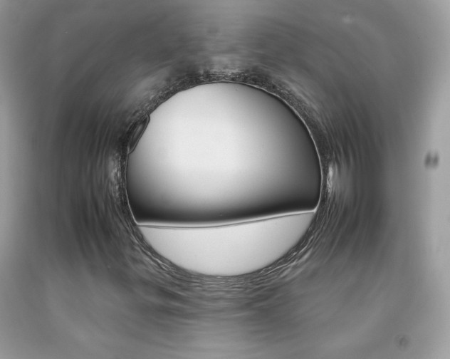 X0000092261299200709141018