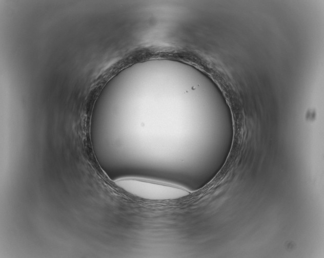 X0000092261301200709141018