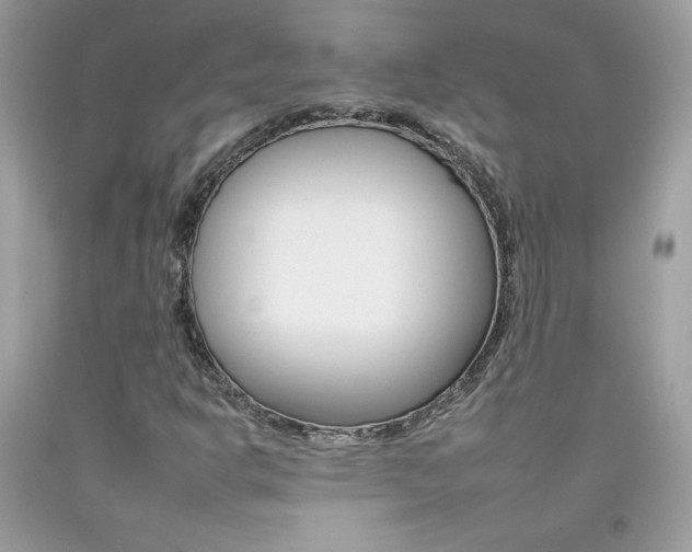 X0000092261302200709141018