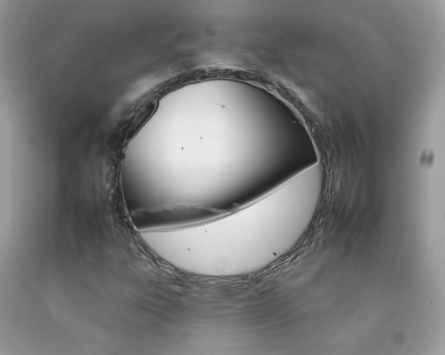 X0000092261303200709141018