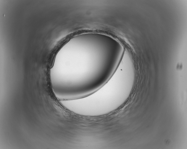 X0000092261304200709141018
